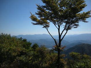 e0195323_011914.jpg