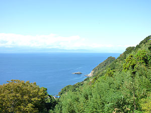d0023725_1125578.jpg