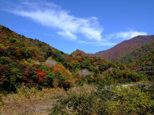 f0147025_2224158.jpg