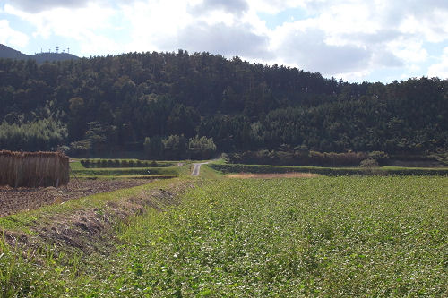 f0007926_17245966.jpg
