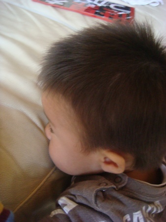 f0042726_1318267.jpg