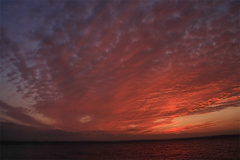 e0025930_21204388.jpg