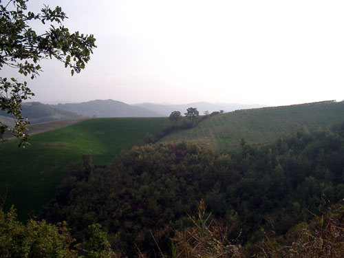 a0101536_941613.jpg