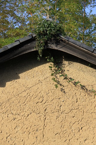 b0168041_1857418.jpg
