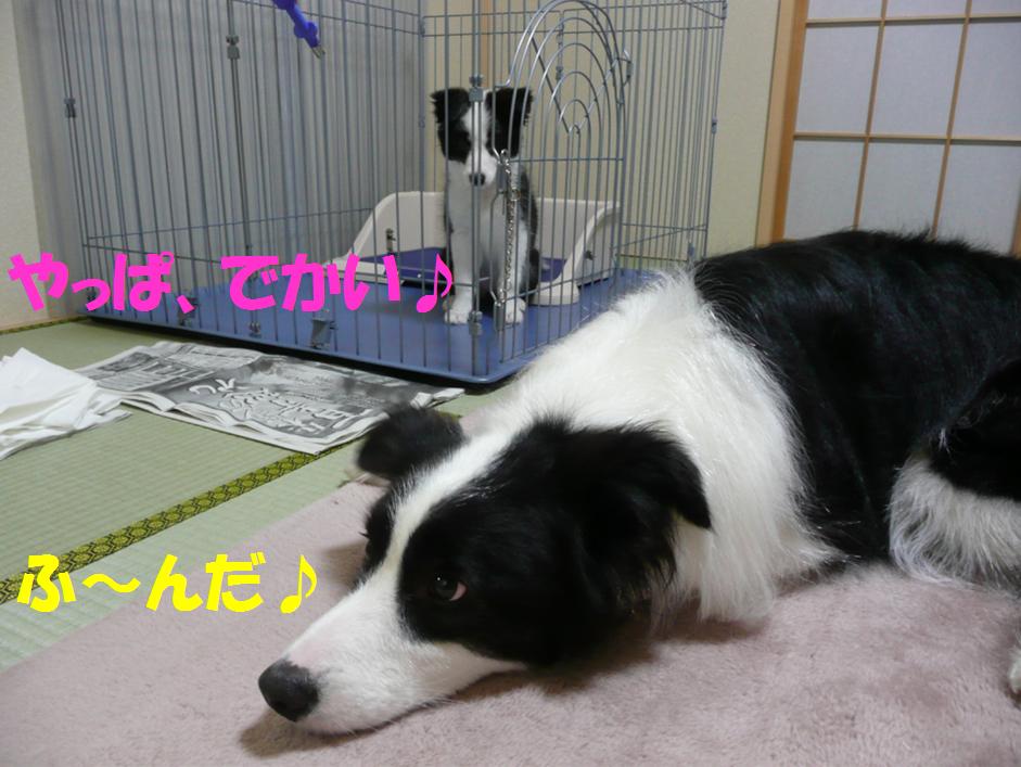 c0147241_2254479.jpg