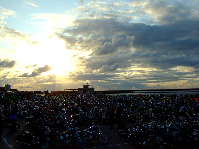 e0006242_1543880.jpg