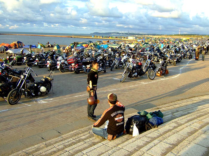 e0006242_1545239.jpg