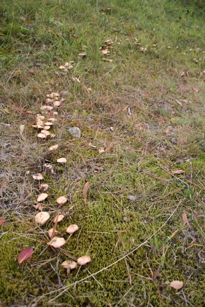 e0009049_017142.jpg