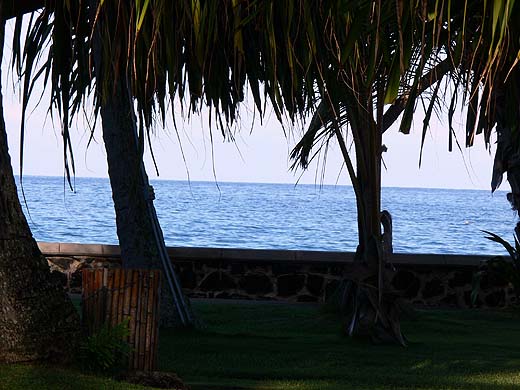 e0050753_20214463.jpg