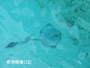 f0190653_8281990.jpg