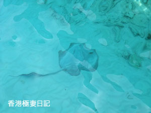 f0190653_8282919.jpg