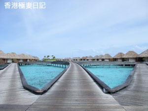 f0190653_8284533.jpg