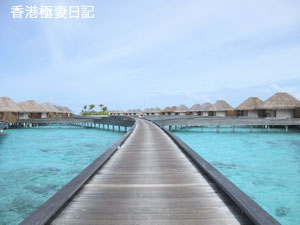 f0190653_828828.jpg