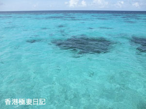 f0190653_8304313.jpg
