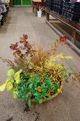 e0025655_532454.jpg