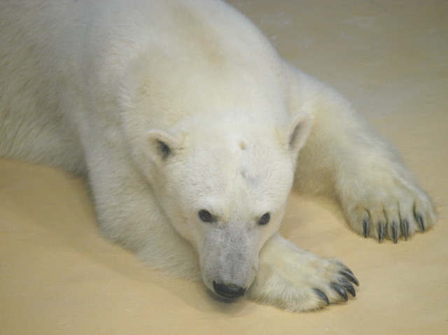 c0186760_6155273.jpg
