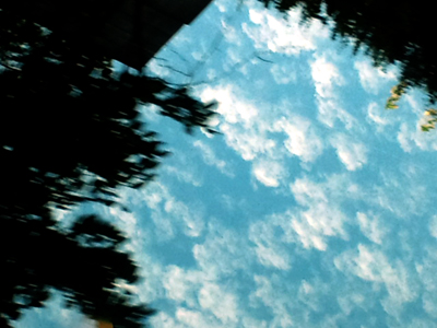 c0050264_1141153.jpg