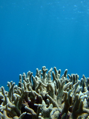 d0102664_1265740.jpg