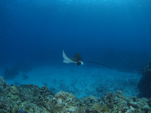 b0138768_14522166.jpg