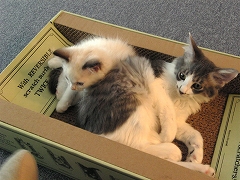 c0023170_0185652.jpg