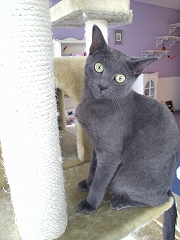 c0023170_055824.jpg