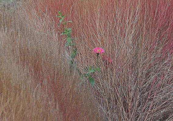 f0198771_0323741.jpg