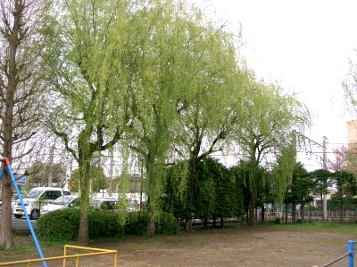 c0112172_2028586.jpg