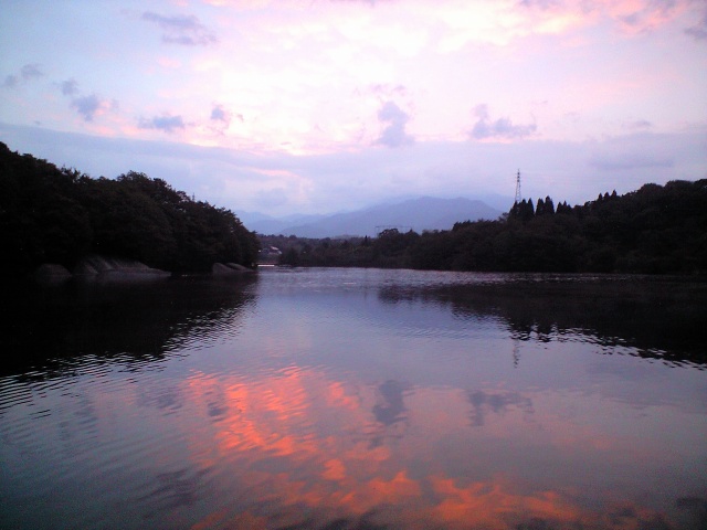 a0093677_191013.jpg