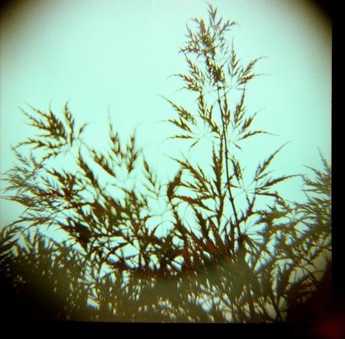 f0161878_23272926.jpg