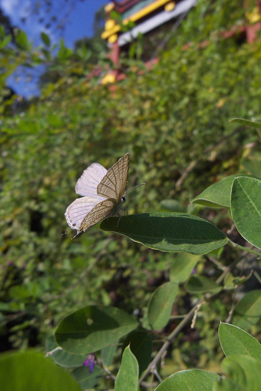 f0090680_21424173.jpg