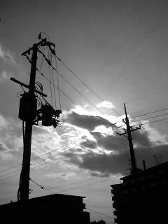 f0100480_21114563.jpg