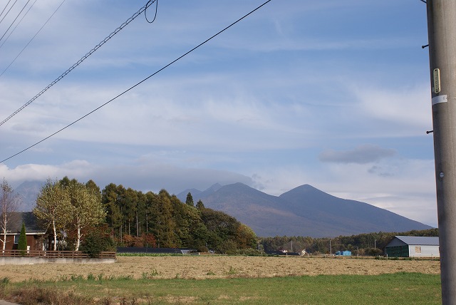 f0079289_10312356.jpg