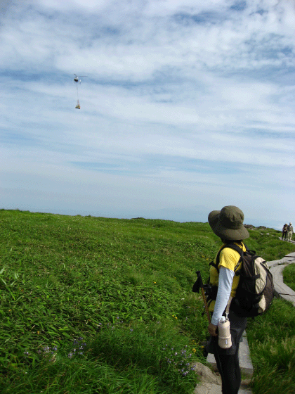 c0171790_22285790.gif