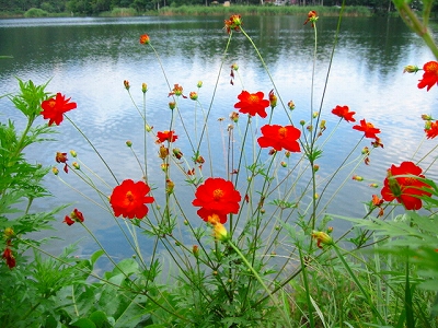 c0207890_15521.jpg