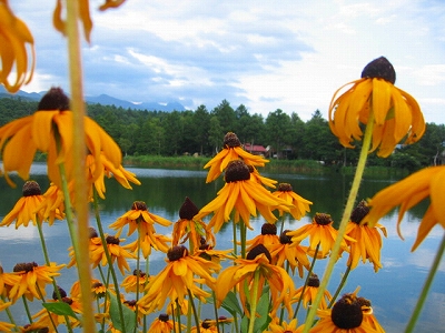 c0207890_1681.jpg