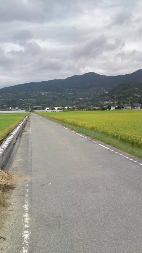 c0119891_7415811.jpg