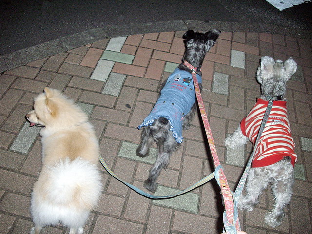 c0138198_17184955.jpg