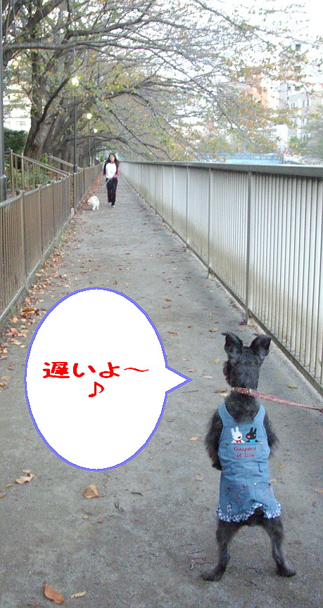 c0138198_1723632.jpg