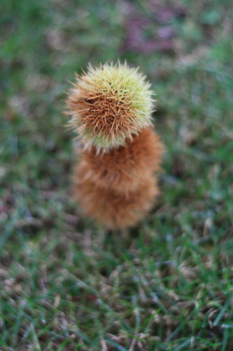 c0190900_2095452.jpg