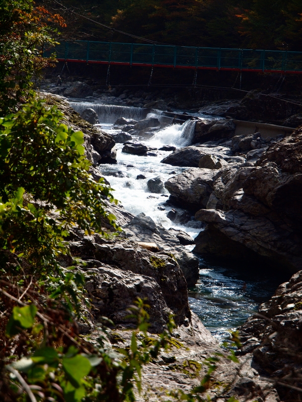 b0138101_22144966.jpg