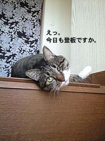 c0035001_15228.jpg