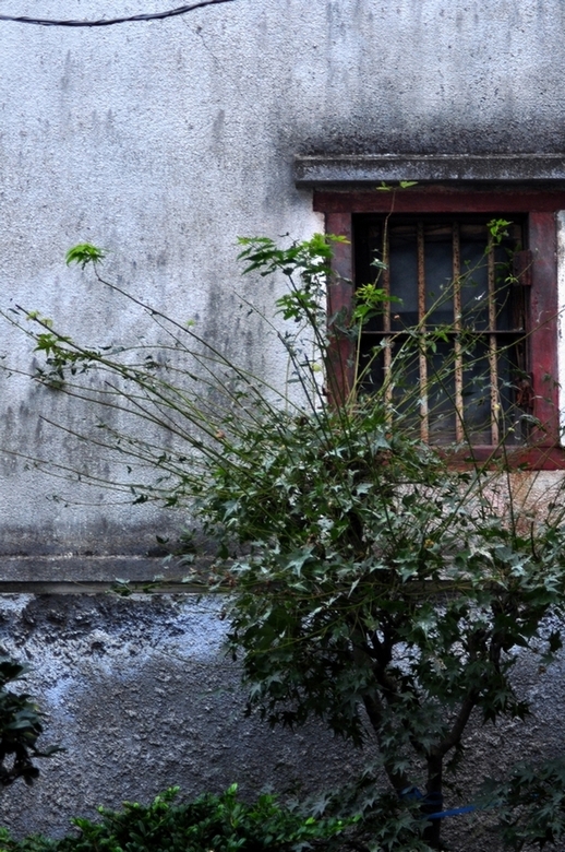c0116216_021688.jpg