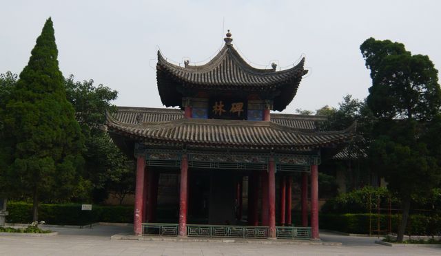 e0111220_1611121.jpg