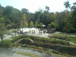 f0011322_9535915.jpg