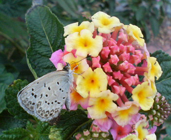f0036223_18331846.jpg