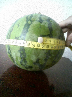 e0000126_1252068.jpg