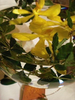 e0127926_1331792.jpg