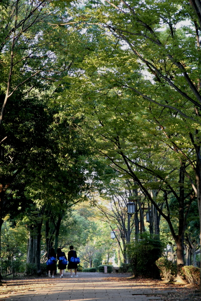 f0140130_2545438.jpg