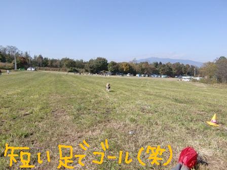 f0176830_21394419.jpg