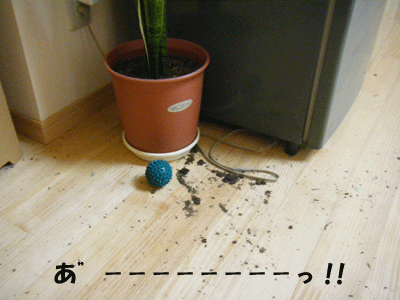 f0008935_1010408.gif